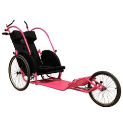 Axiom Racer Conversion Push Chair / Bike Trailer