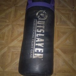Punching Bag 