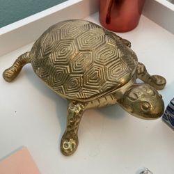 Turtle Decor