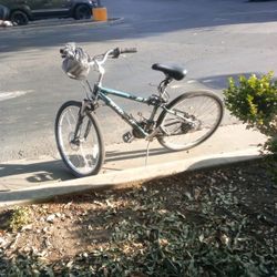 Schwinn Bike Disk Brakes Good Bike