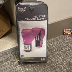 Everlast Training Gloves - 12oz