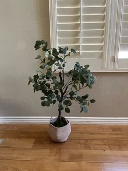 Faux Plant