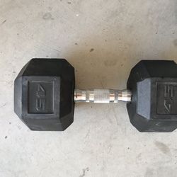 45lb Weight Dumbbell 