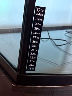 36 gallon tank with thermometer, lid lights with stand and 75 gallon pond filter