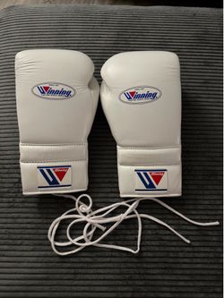 Winning boxing gloves