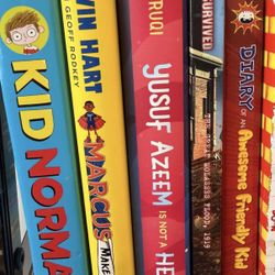Kids Like New Hardback Chapter Books $15 Each OBO 