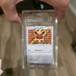 2017 Poncho Wearing EEVEE