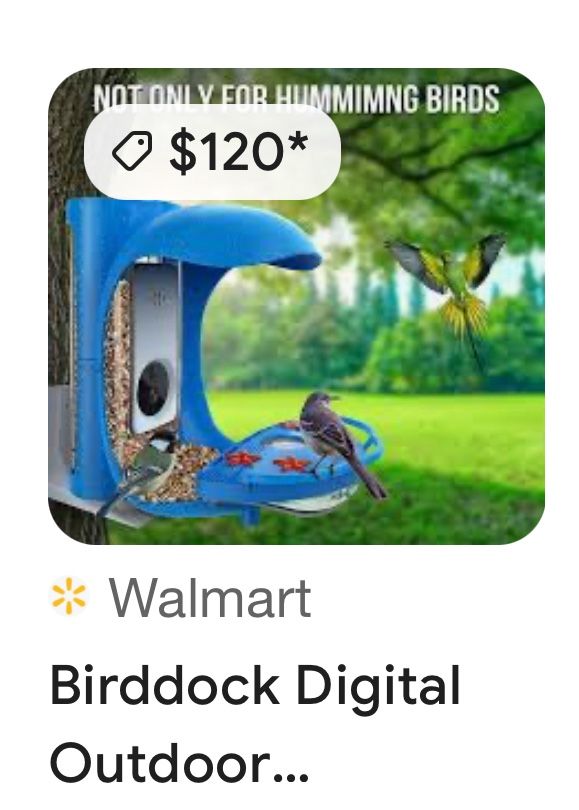 Smart Bird Feeder Camera with AI Identification, Auto Record & Motion Alerts for Bird Enthusiasts