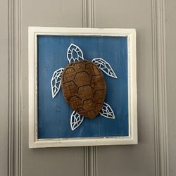 Turtle Picture