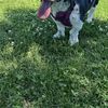 Audrey