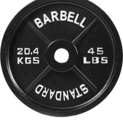 45 Lb Iron Weight Set