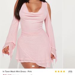Fashion Nova Mesh Mini Pink Dress