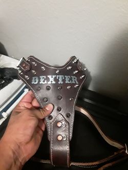 Dog Harness 100%leather S,M,L,XL custom with spikes and dog name #leather #collares #pitbull pecheras de cuero