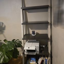 72" Storage Ladder/Bookcase