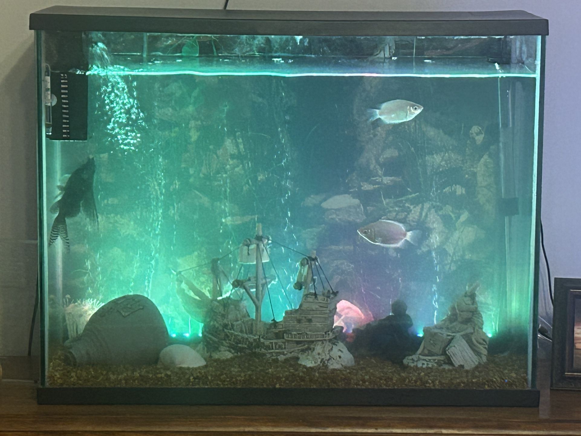 Fish Tank With Accessories