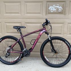 Raleigh Eva 5.5 Mountain Bike