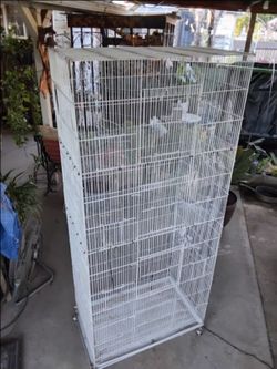 Bird cage