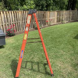 6 Ft Warner Ladder