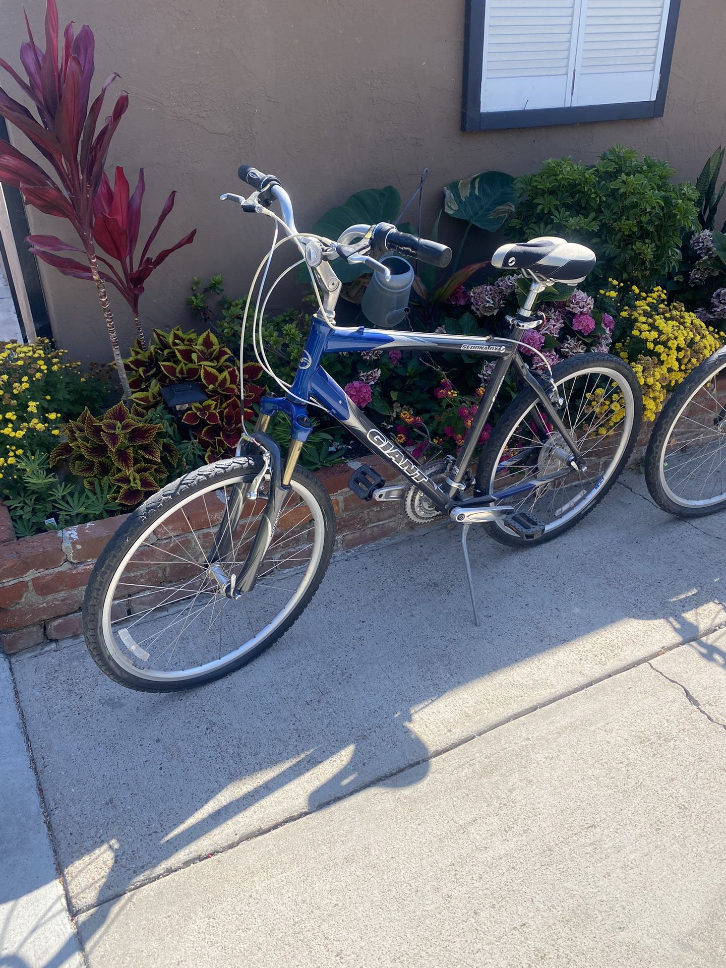 Mountain Bikes