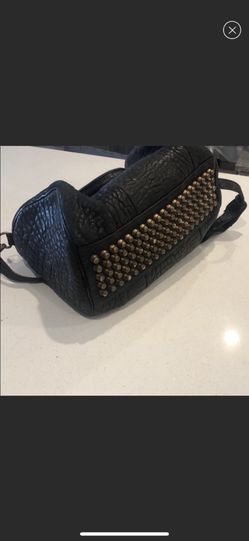 Alexander wang bag