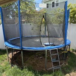 Trampoline With Safety Net And Ladder And All The Bolts And Nuts Nothing Missing.