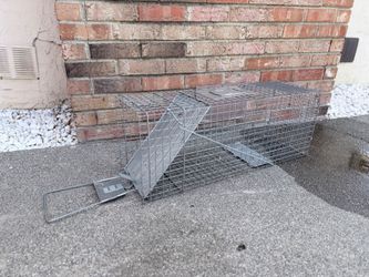 Raccoon cage