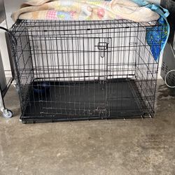 Dog Cage 