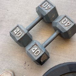 40lb Hex Metal Dumbbells