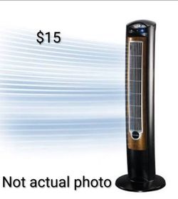 LASKO Wind Curve Oscillating Fan
