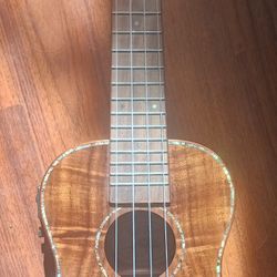 ukulele Electric New