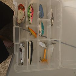 Spoon for Pike, wallet, trout.