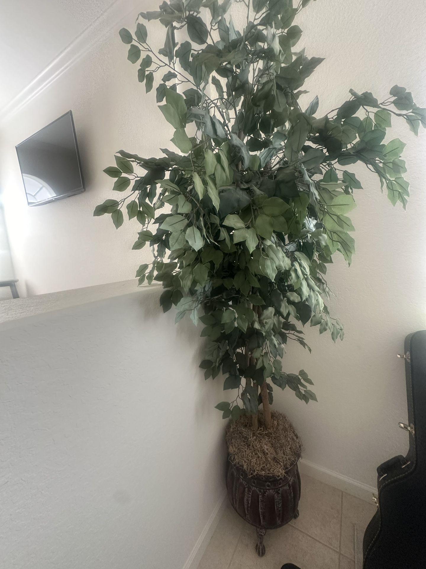 Fake Plant 6ft Tall