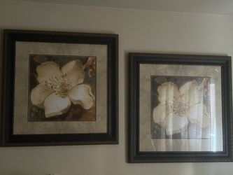 Magnolia blossoms framed wall set /  Cuadros de Magnolia blossoms