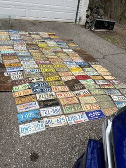 Liceance Plate Collection