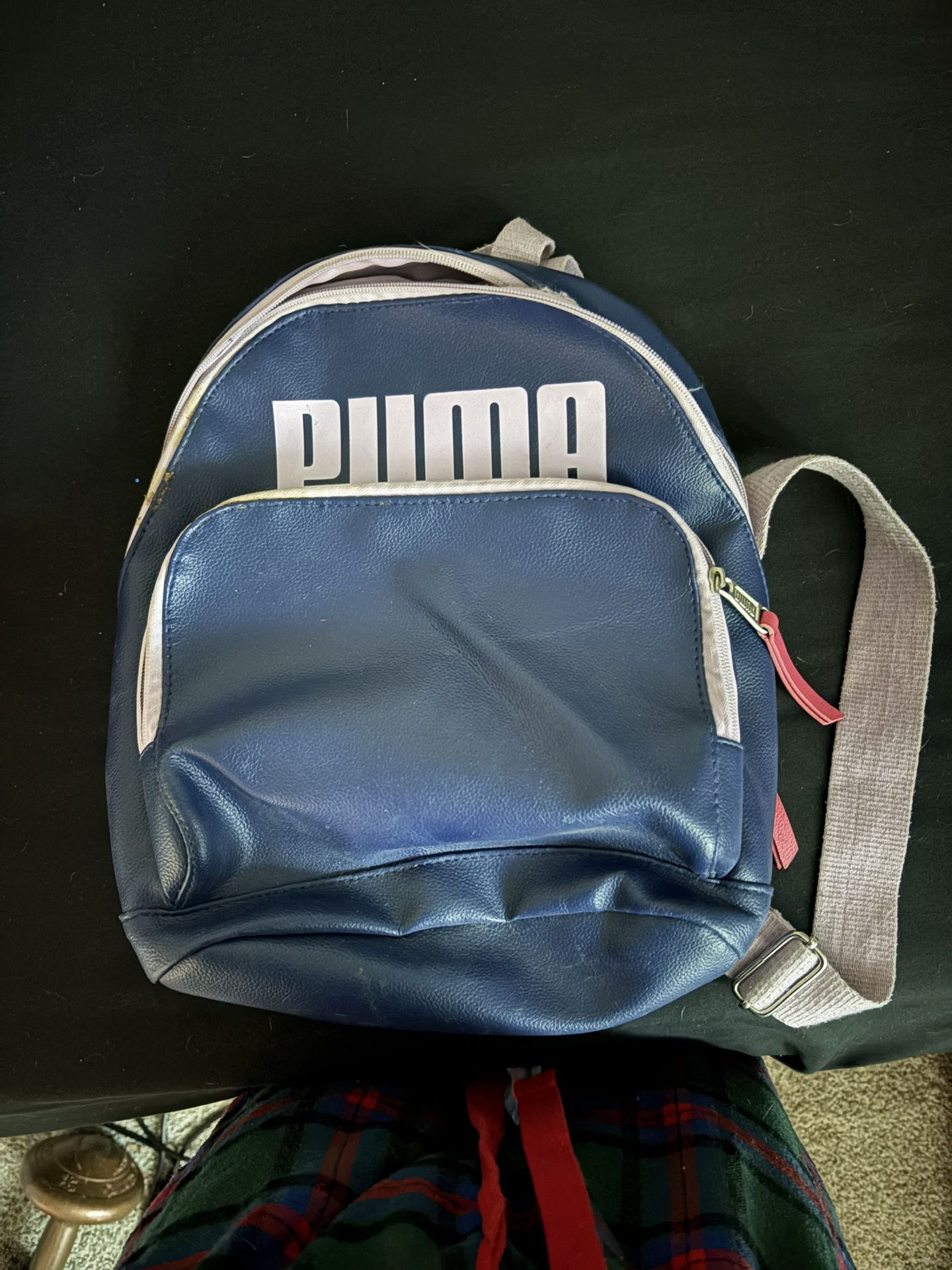 Blue And Lavender Puma Backpack