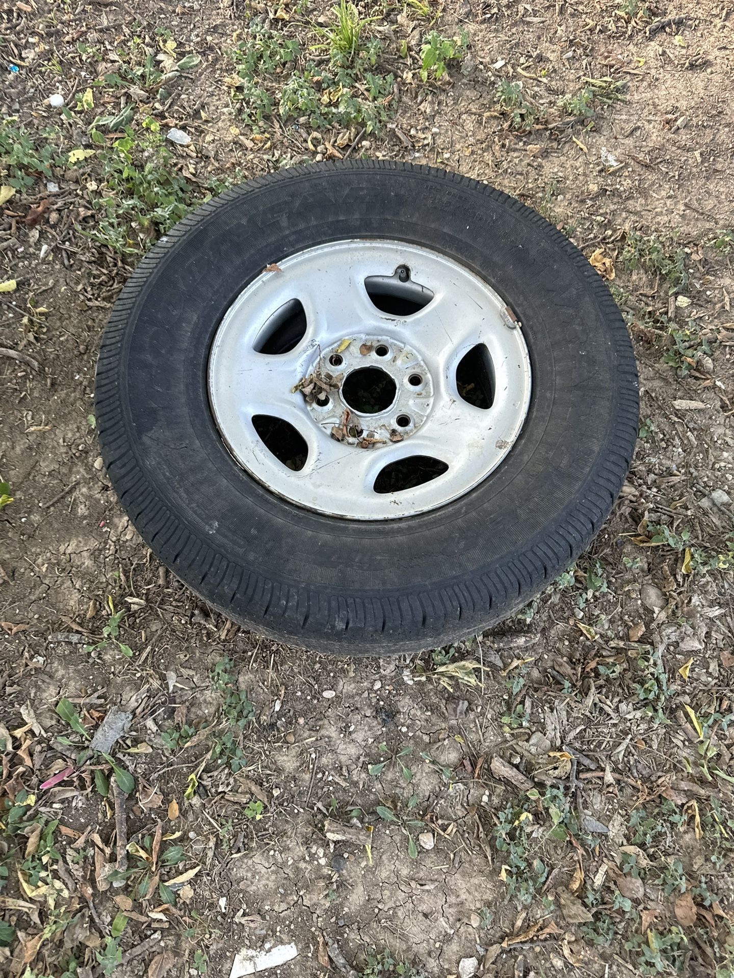 Rim 16