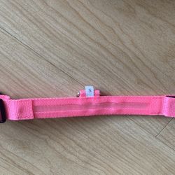 Pet collar - light up