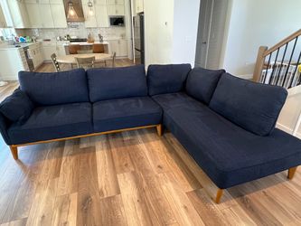 Joelene Mid Century Modern Sectional