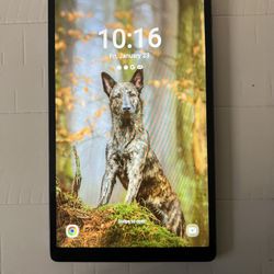 Samsung Galaxy Tab A7 Lite