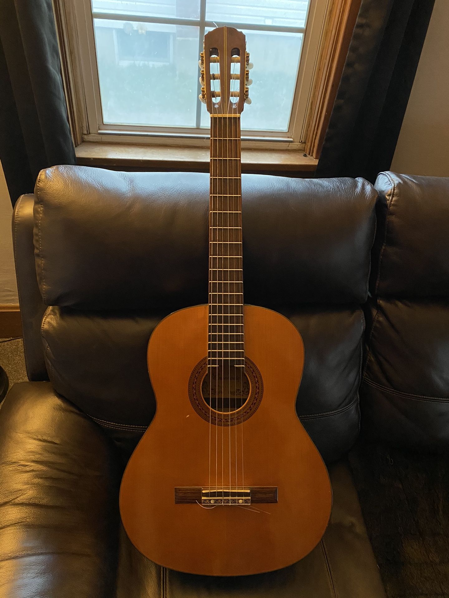 Vintage Ensenada Classical Guitar with Case