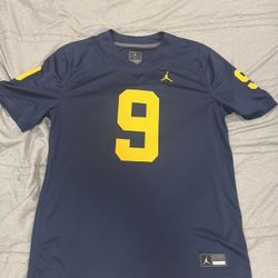 Michigan Jersey