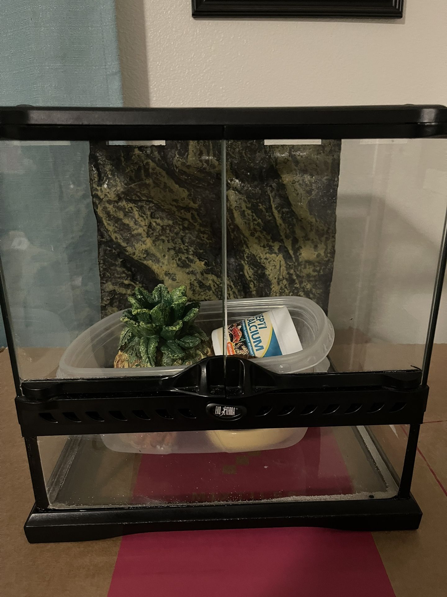 Reptile Enclosure