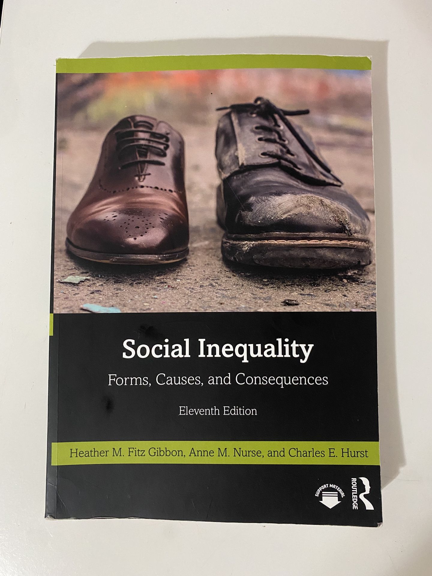 Social Inequalities Textbook 11th Edition