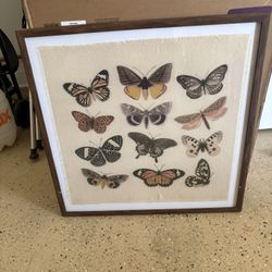 Butterfly Wall Decor Frame 