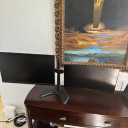 Gaming Monitors 