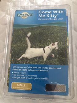 Pet Safe Come With Me Kitty 