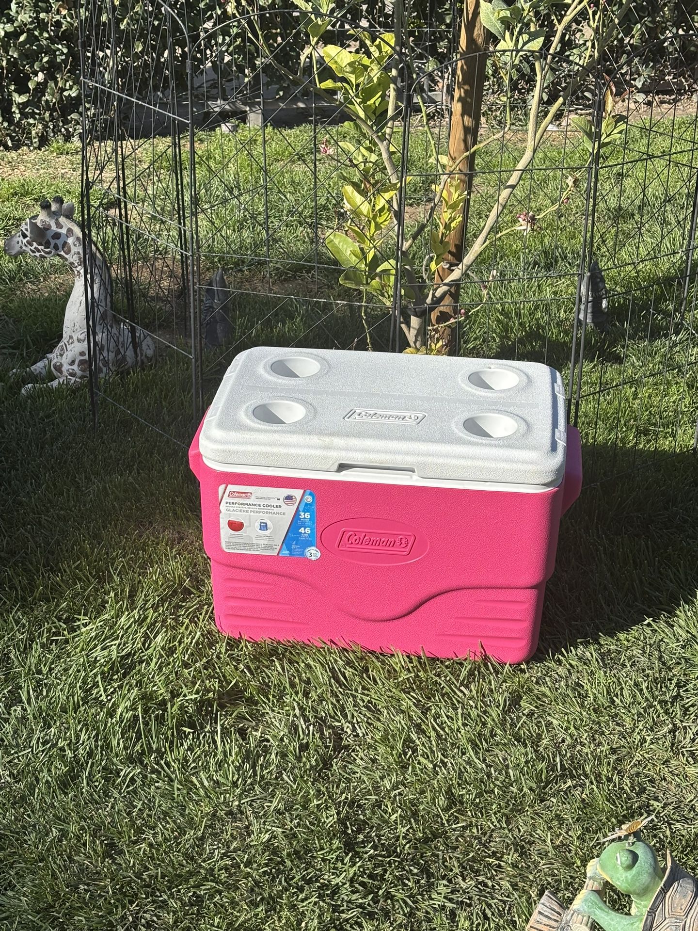 COLEMAN,ICE CHEST,COOLER