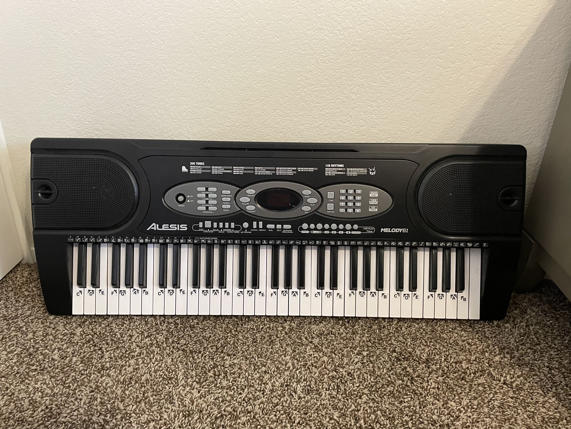 Alesis Keyboard