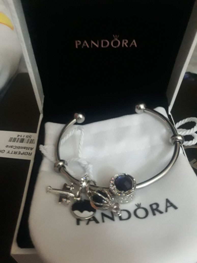 Pandora Bracelet with Adorable Pandora Charms!