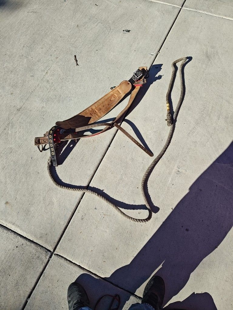 Weaver 1035 Floating Dee Extra Wide Back Tree Climbing Saddle